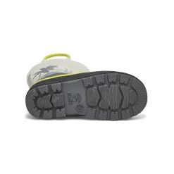 Dino Baby and Toddlers